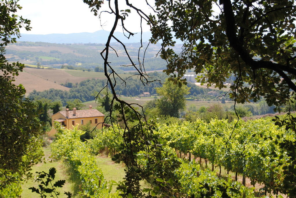 Agriturismo San Rocco Villa Todi Esterno foto